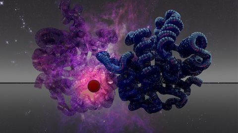 Plans and Goals for the Human Proteoform Project