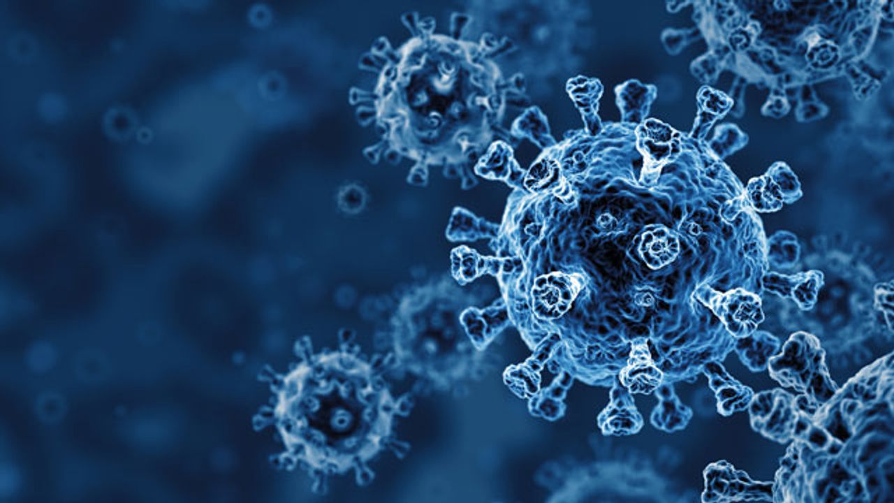 Plant-Derived Antiviral for COVID-19 Effective Against All Known SARS-CoV-2 Variants