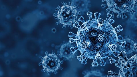 Plant-Derived Antiviral for COVID-19 Effective Against All Known SARS-CoV-2 Variants