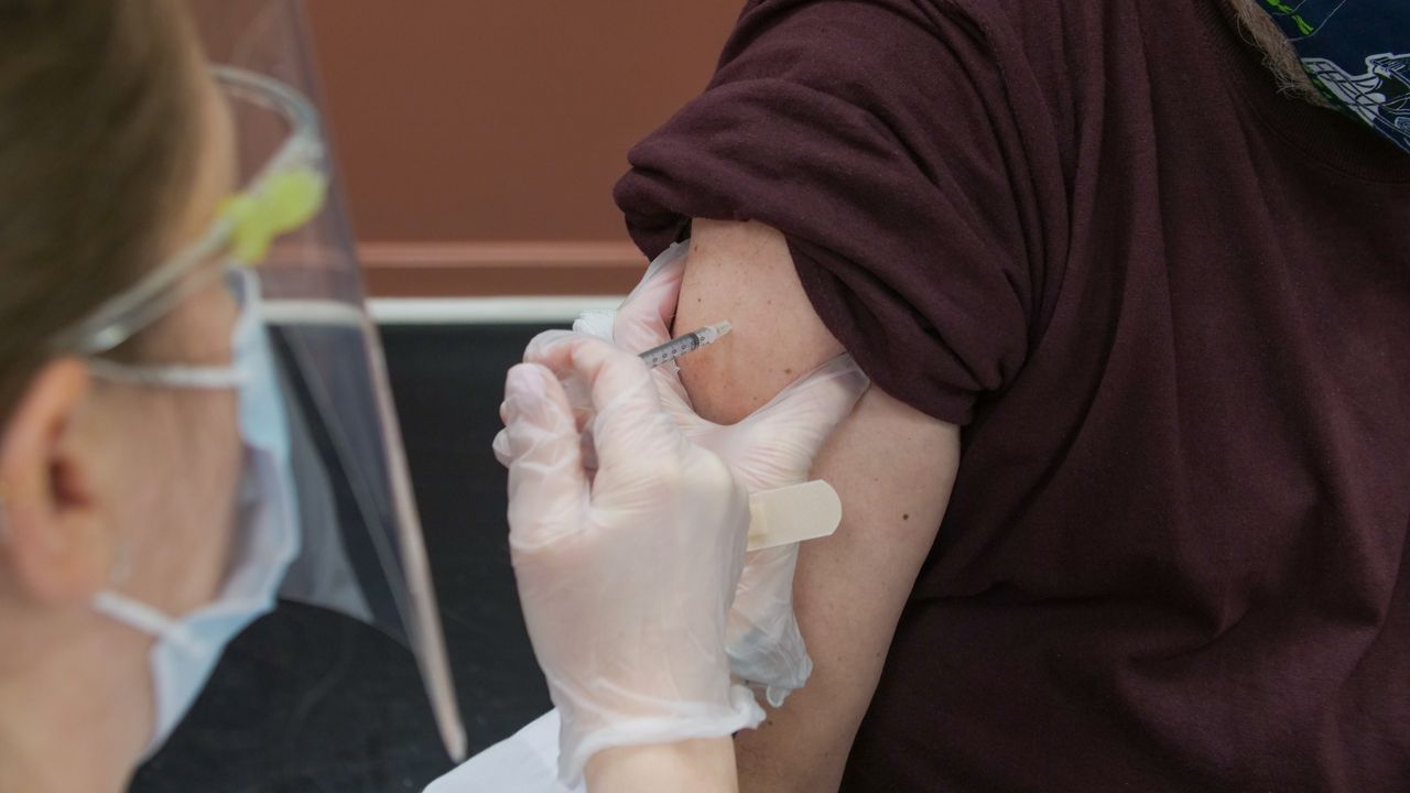 A New Suction Technique for Delivering DNA Vaccines