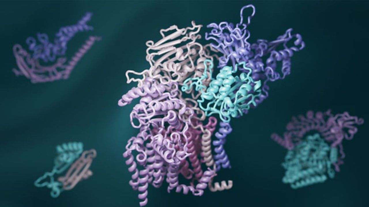 Deep Learning Shines Light on Protein Interactions