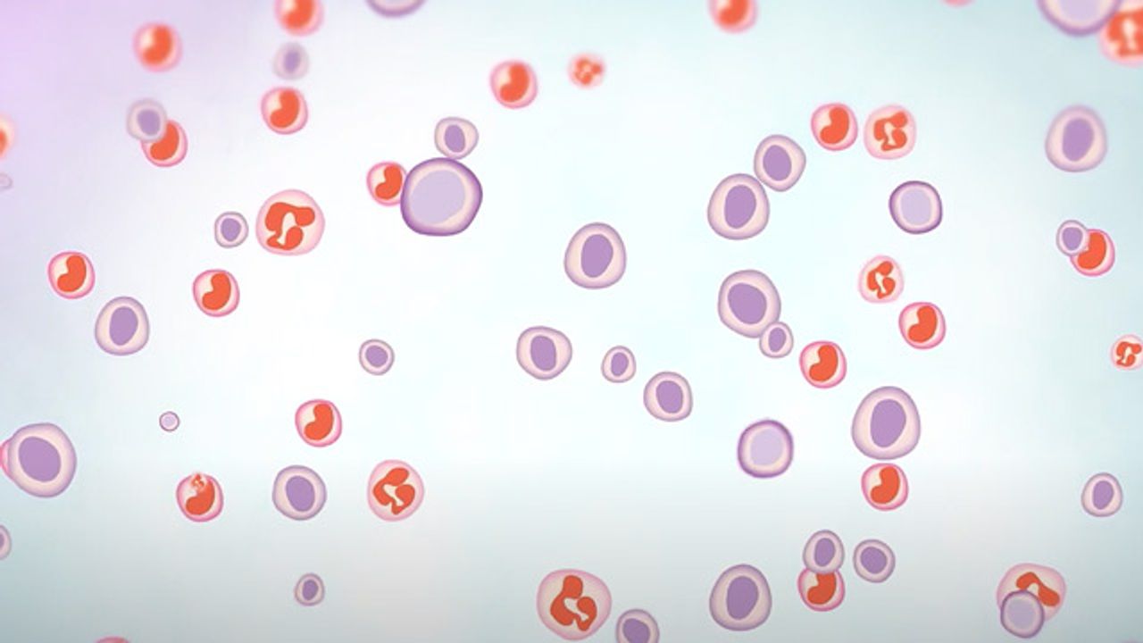 What Is Myeloma?