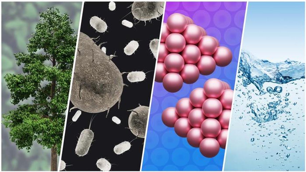 Sustainable Hydrocarbons Made by Microbes Could Replace Oil and Gas