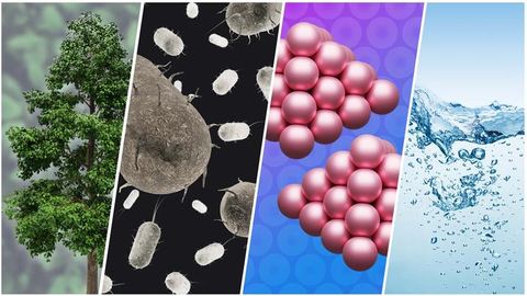 Sustainable Hydrocarbons Made by Microbes Could Replace Oil and Gas