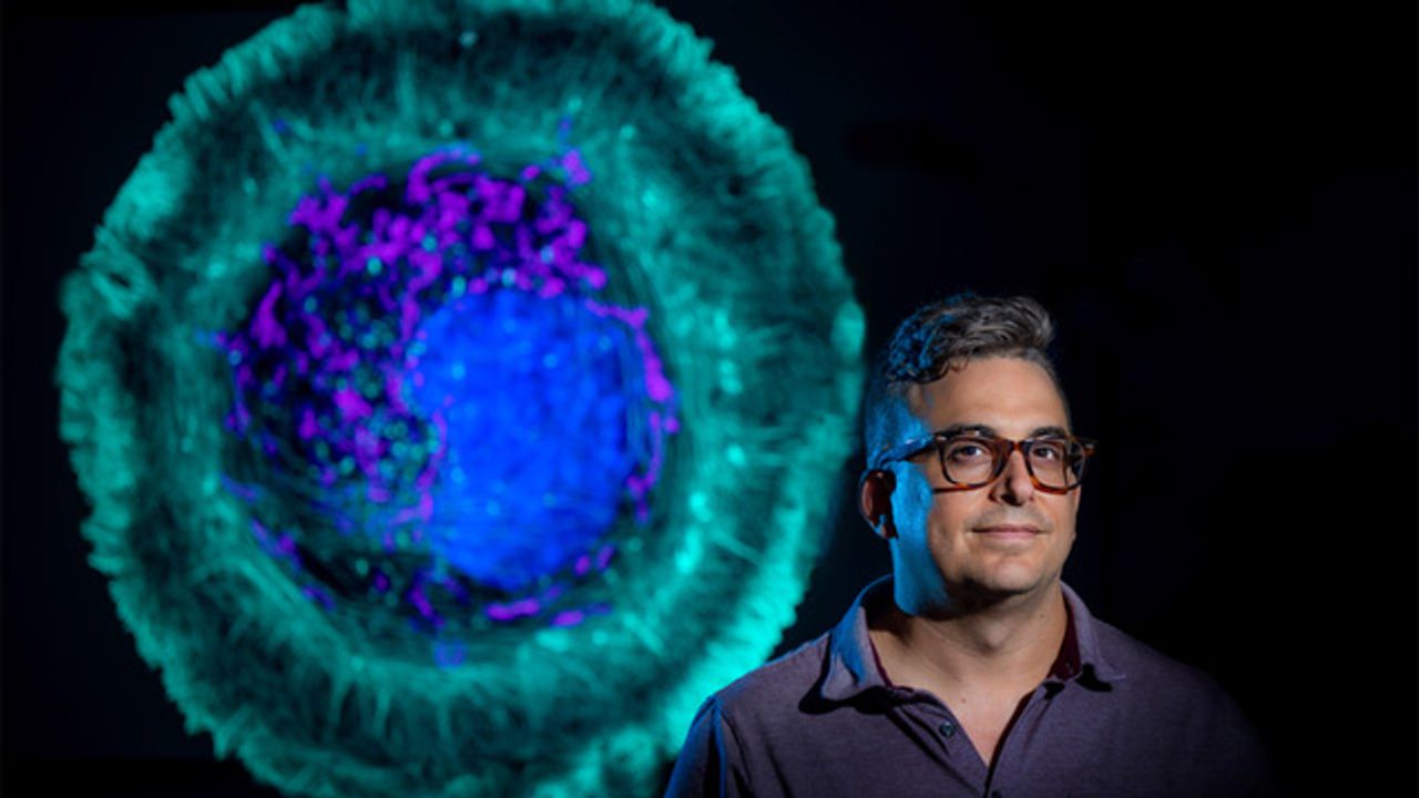 New Method Gives Insights Into How Cells Are Changed by Disease
