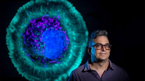 New Method Gives Insights Into How Cells Are Changed by Disease