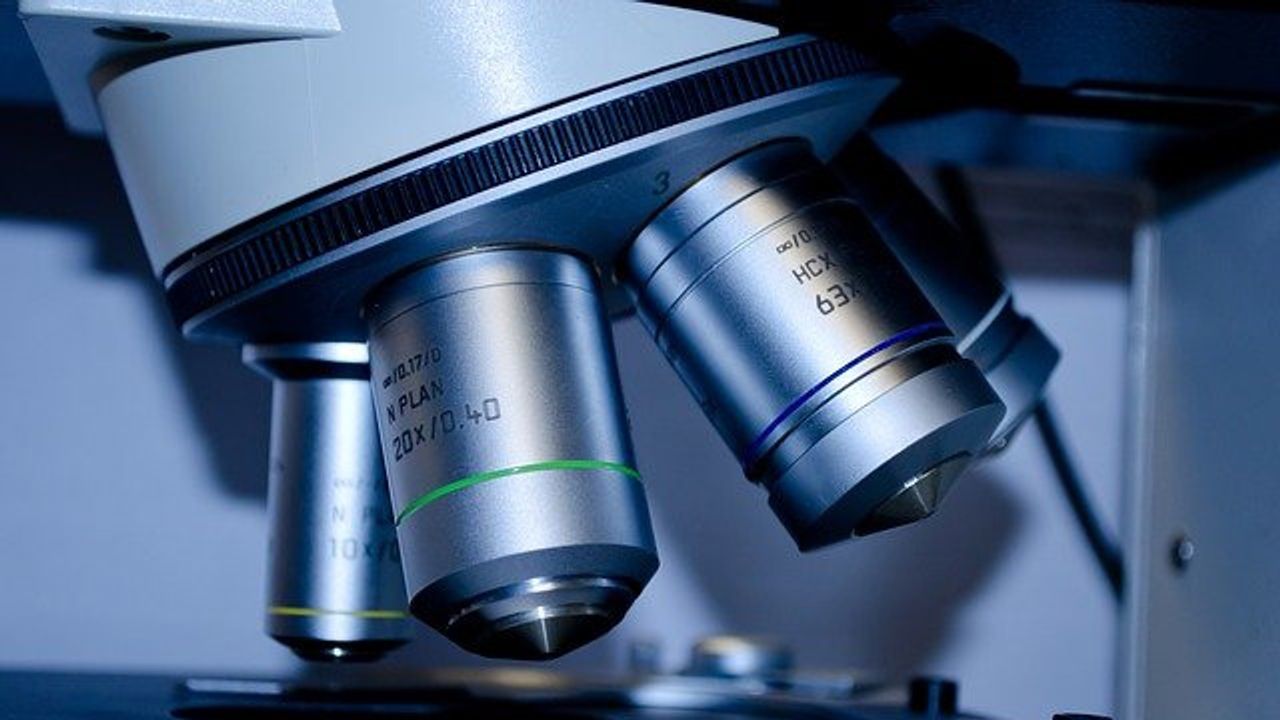 A Close Look at the Effect of Endocrine Disrupting Chemicals on Gene Expression