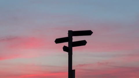 How the Brain Codes in Value Decisions