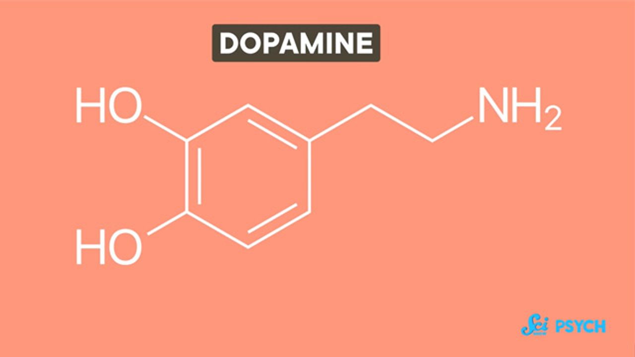 Dopamine Isn’t Just a Happy Chemical