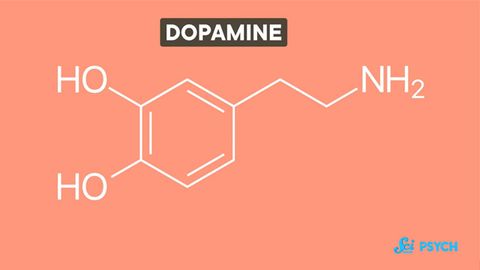 Dopamine Isn’t Just a Happy Chemical Dopamine Isn’t Just a Happy Chemical