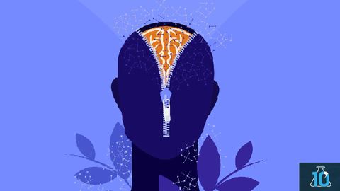 Ketamine as an Antidepressant With Dr. Lisa Monteggia Ketamine as an Antidepressant With Dr. Lisa Monteggia
