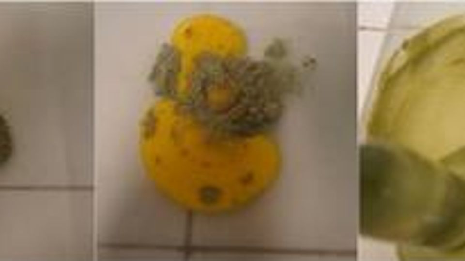 Tempera Painting Investigated at the Molecular Level content piece image