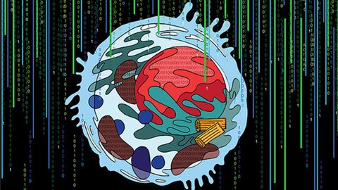 Previously Unknown Cell Components Revealed by AI-Based Technique