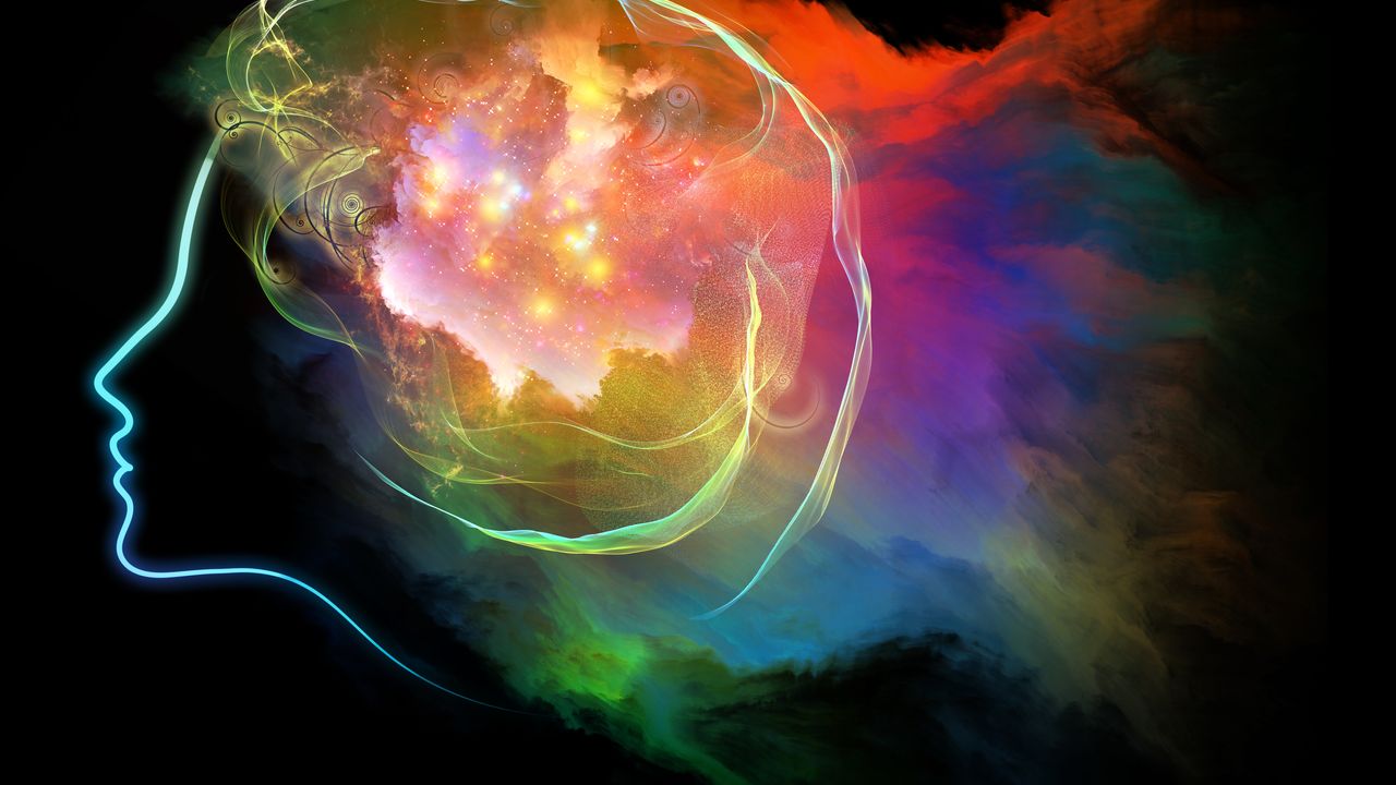 Mescaline-Like Psychedelic Alters Synaptic Plasticity