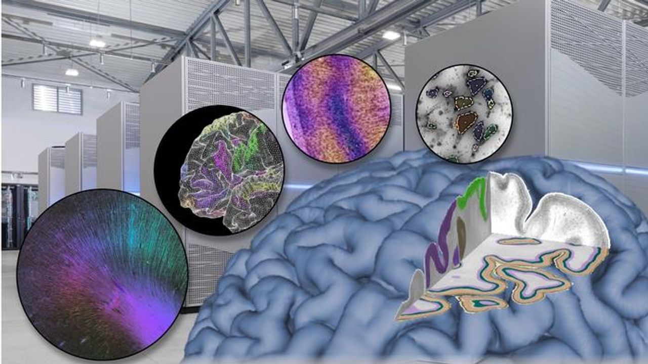 How Brain Research Tests Supercomputers Like Never Before