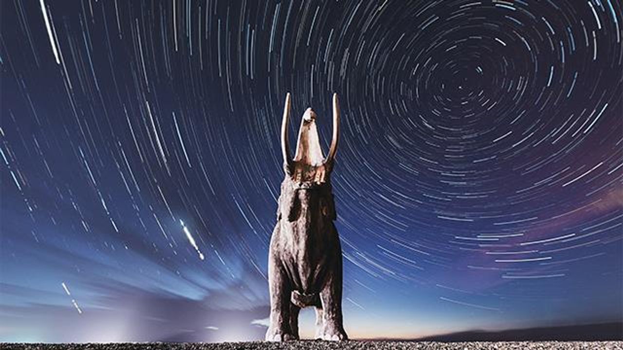 Return From Extinction