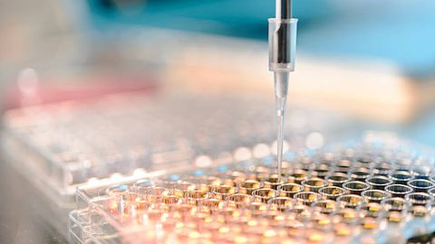 Efficient and Automated 384 Well qPCR Set-Up Efficient and Automated 384 Well qPCR Set-Up