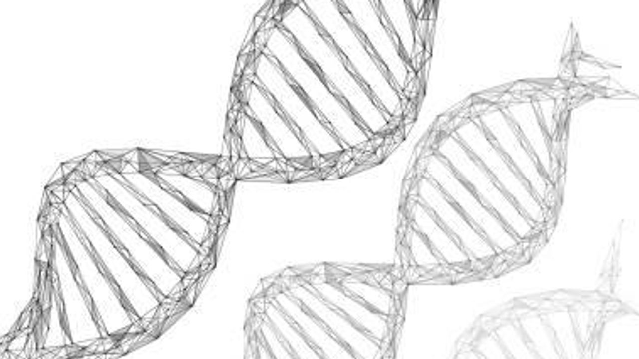 What Is a Microarray?