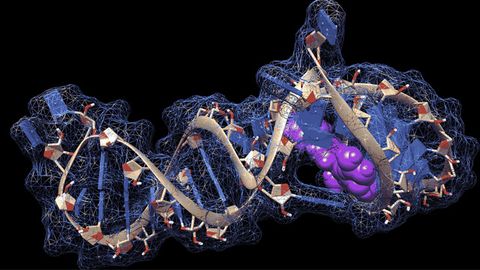 Targeting SARS-CoV-2's Tangled Strands of RNA