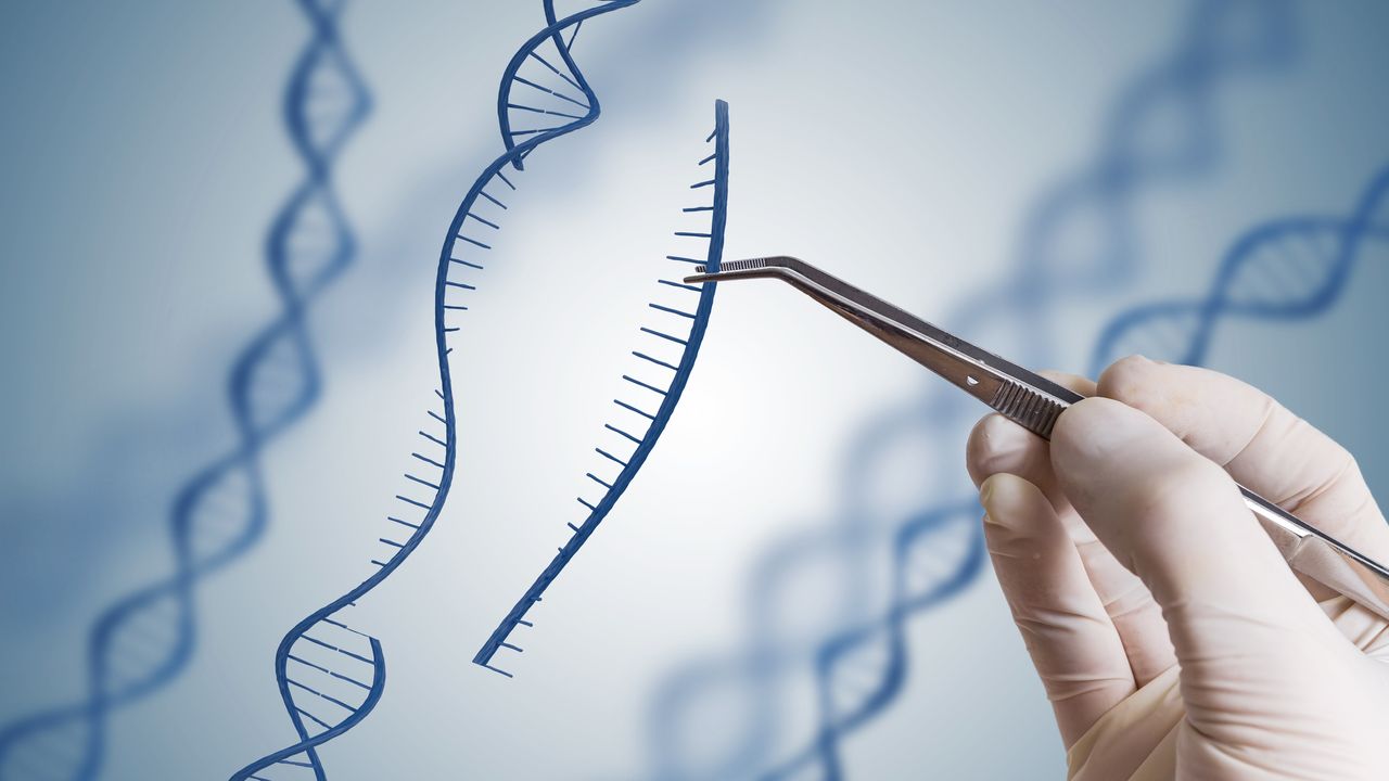 Gene Therapy Improves Muscle Function for Children With Spinal Muscular Atrophy