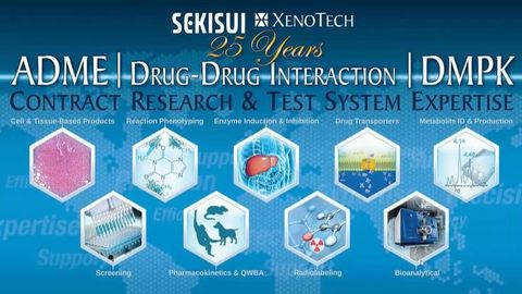 Eliminating Problems in Drug Development: Understanding the Role of Drug Metabolism