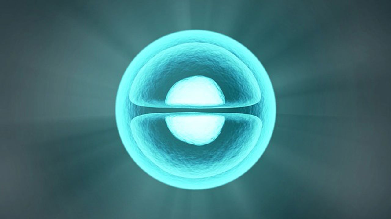 New Method To Precisely Correct Genetic Alterations in Cultured Patient Cells