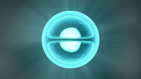 New Method To Precisely Correct Genetic Alterations in Cultured Patient Cells