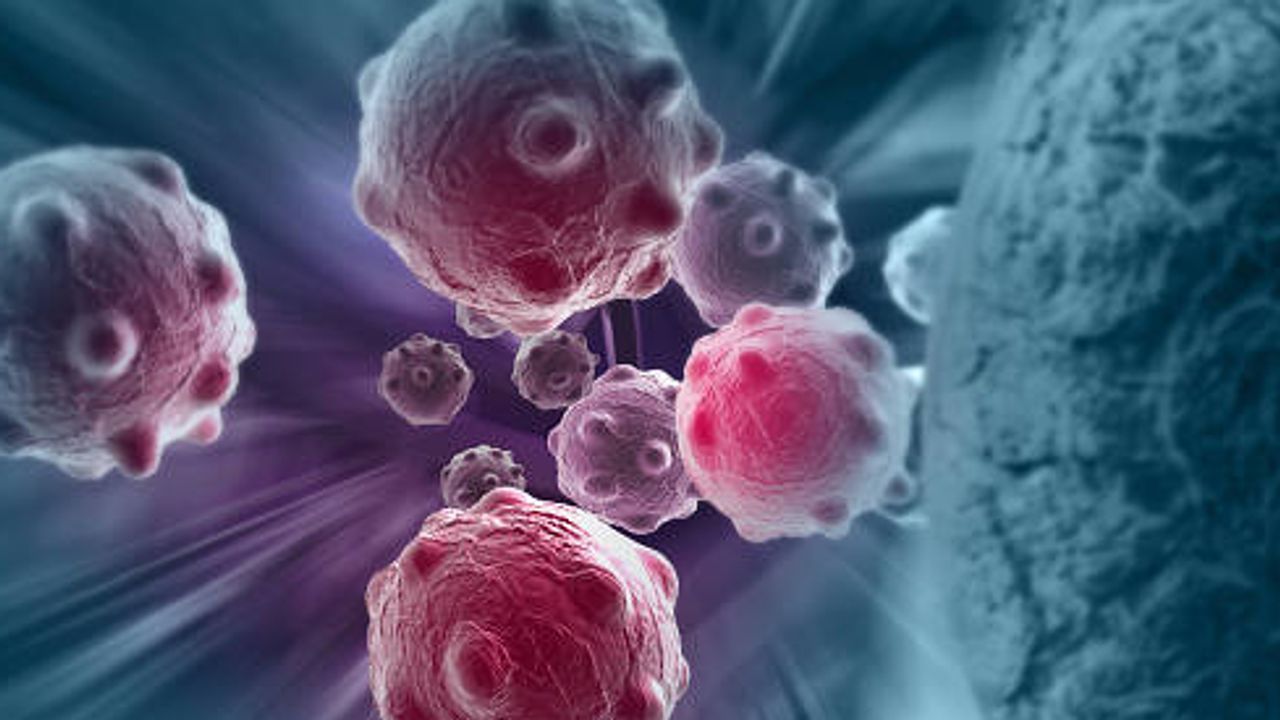 Tumor Microenvironment Explained