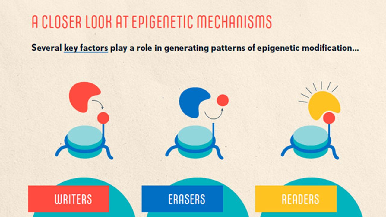 Cancer Epigenetics