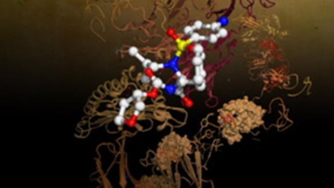 How T Cells Recognize Infection or Disease