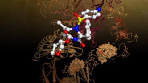 How T Cells Recognize Infection or Disease