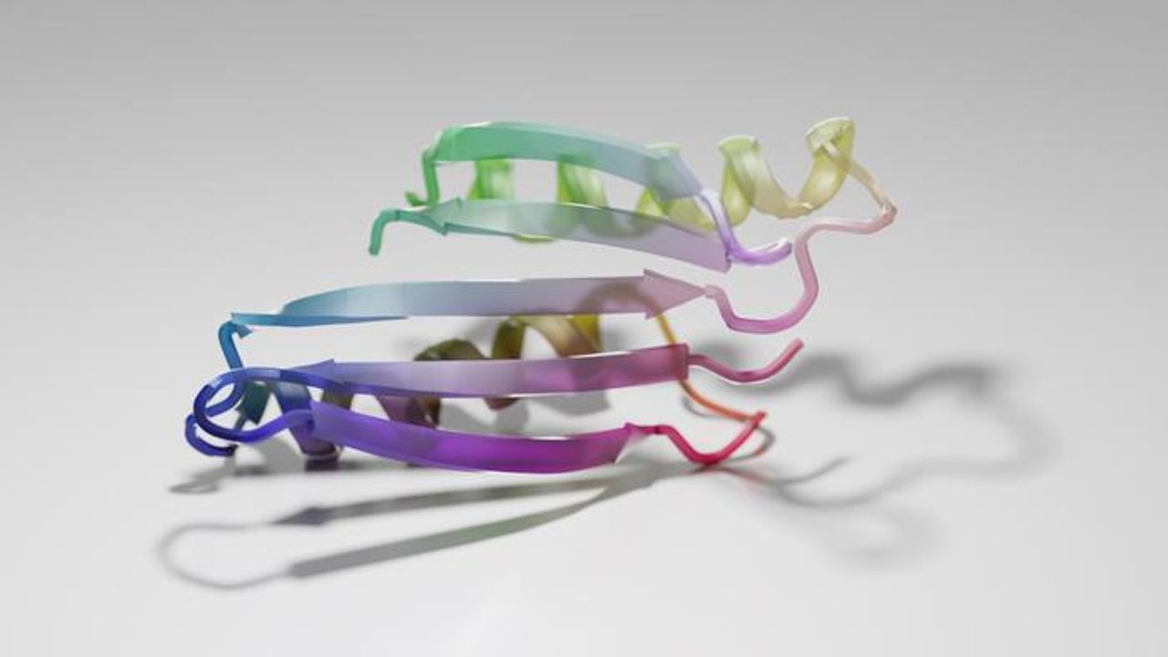 Neural Network “Hallucinates” Protein Structures