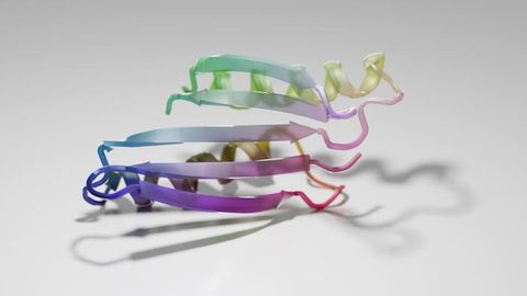 Neural Network “Hallucinates” Protein Structures