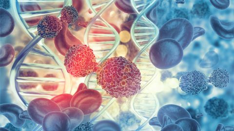 Categorizing Distinct Pathogenic Processes in Chronic Lymphocytic Leukemia With Multiomics