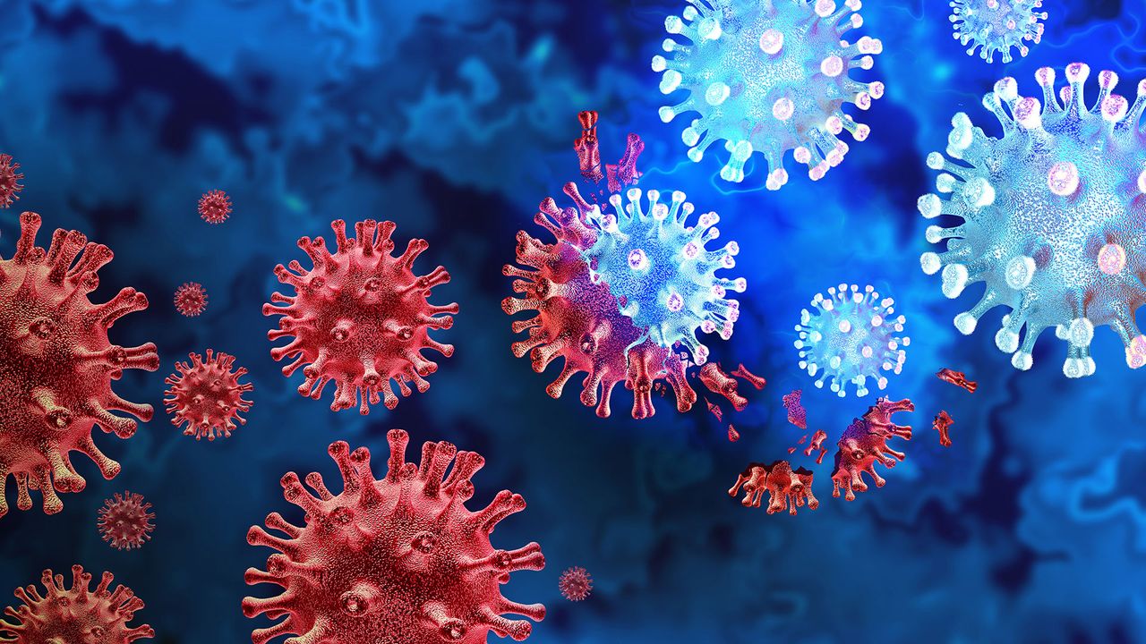 Quality Control Steps for Viral Detection and Sequencing