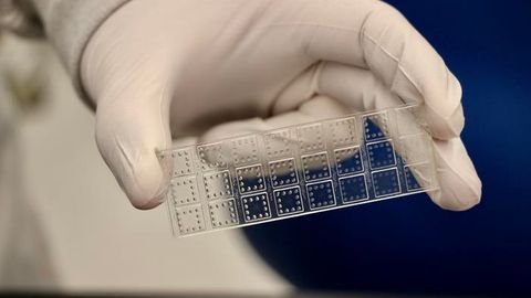 Rapid Test Identifies Antibody Effectiveness Against COVID-19 Variants