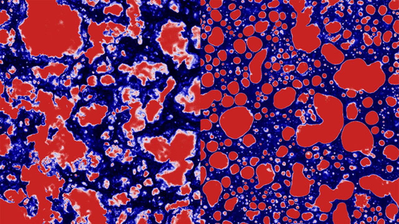 Making Sense of Food Textures
