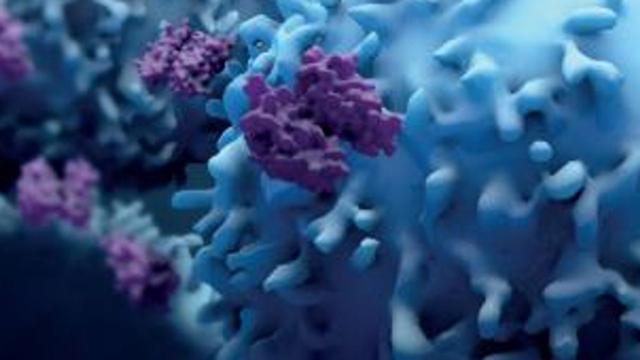 Target-Class Selectivity Profiling for Deubiquitinase (DUB) Inhibitors