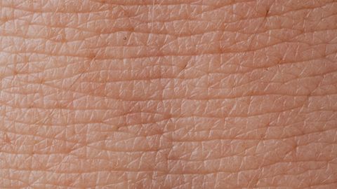 Tri-Layered Skin Equivalents Bioprinted