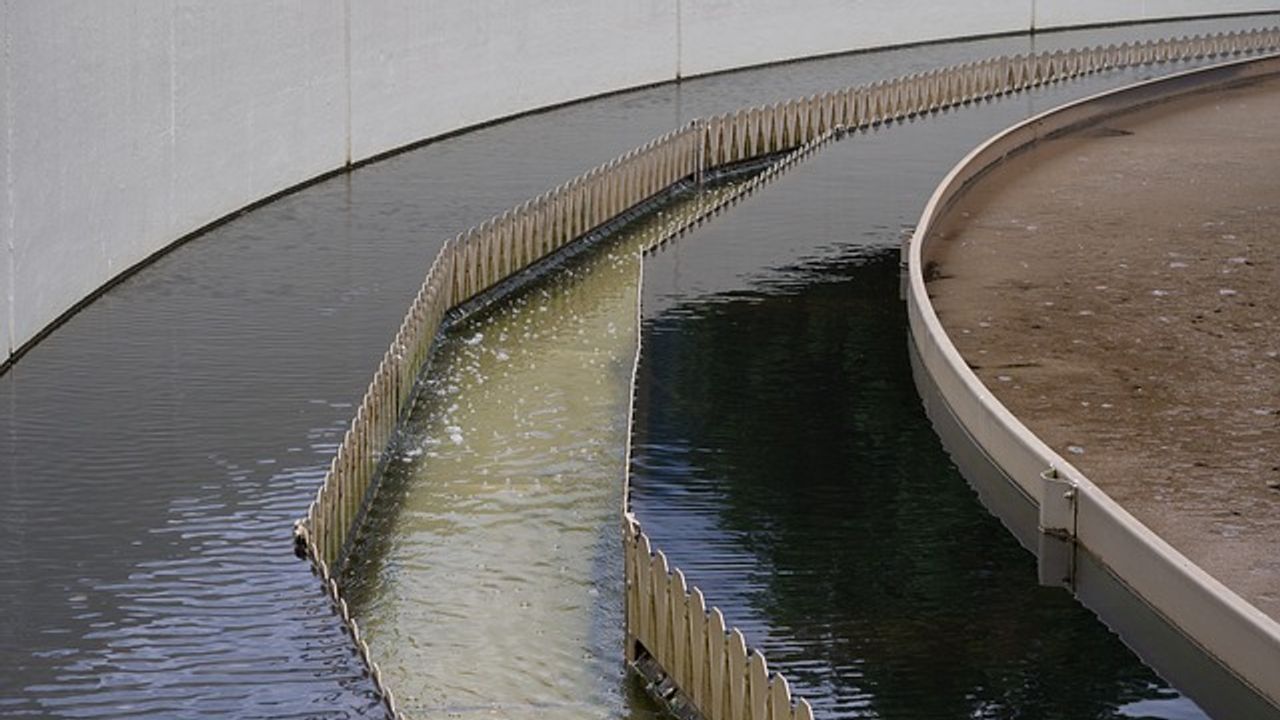 Prokaryotic Viruses Found To Have an Important Role in Sewage Treatment
