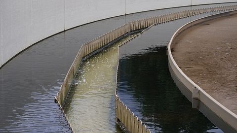 Prokaryotic Viruses Found To Have an Important Role in Sewage Treatment