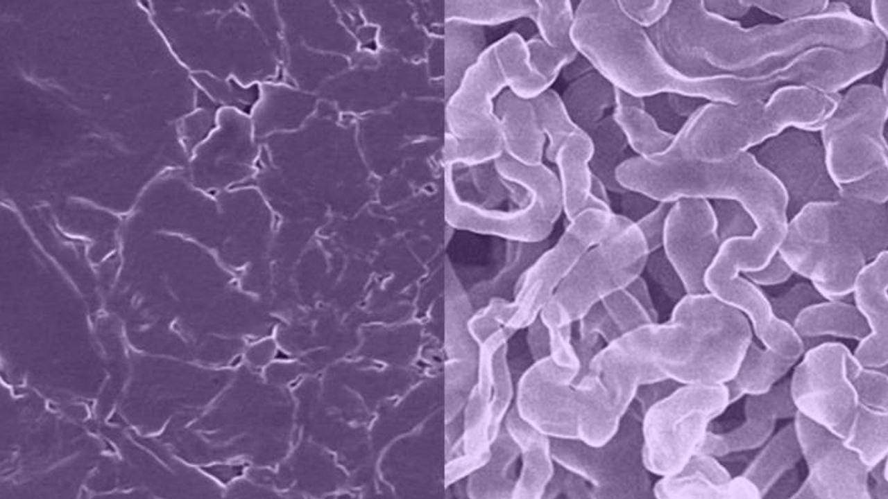 Stable Alternative to Lithium-Ion Batteries Created Using Sodium-Based Material