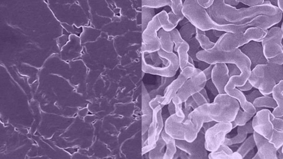 Stable Alternative to Lithium-Ion Batteries Created Using Sodium-Based Material content piece image