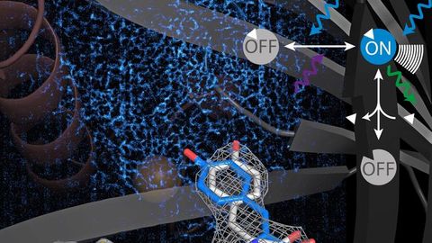 “Switchable” Proteins Used for Biomedical Imaging