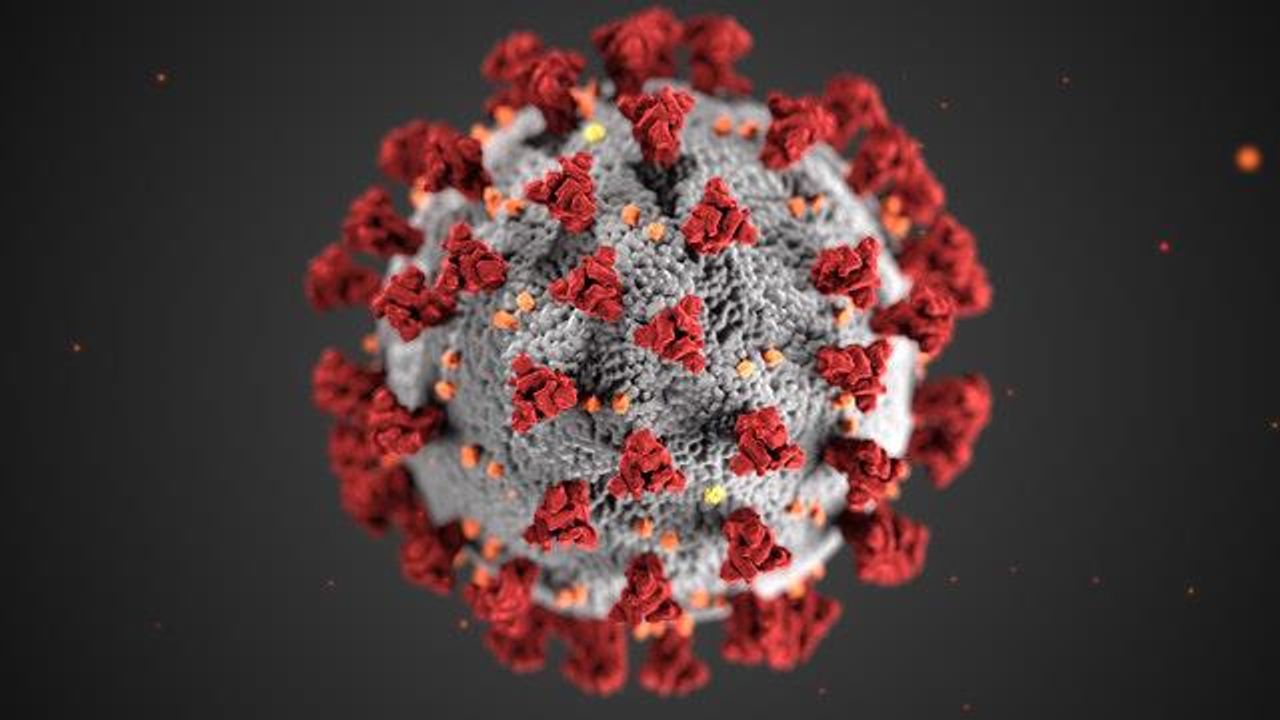 Biomarker Discovered That Could Help Identify High-Risk COVID-19 Patients