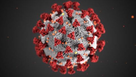 Biomarker Discovered That Could Help Identify High-Risk COVID-19 Patients