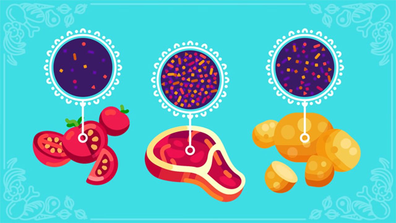 Is Meat Really that Bad?