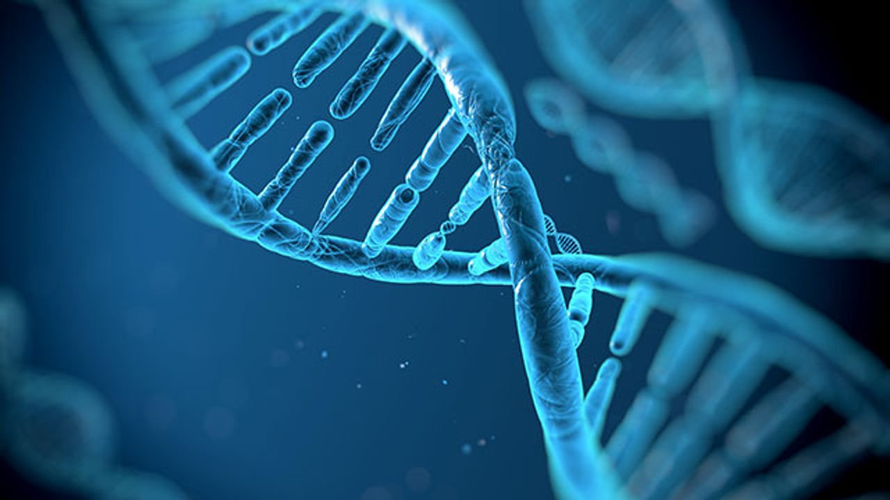 Pushing the Boundaries of High Sensitivity Epigenetic Applications