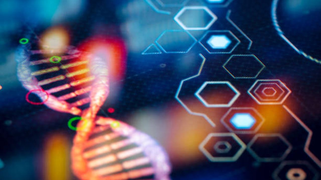 Acceleration of Method Optimization for AAV Capsid Purity Analysis