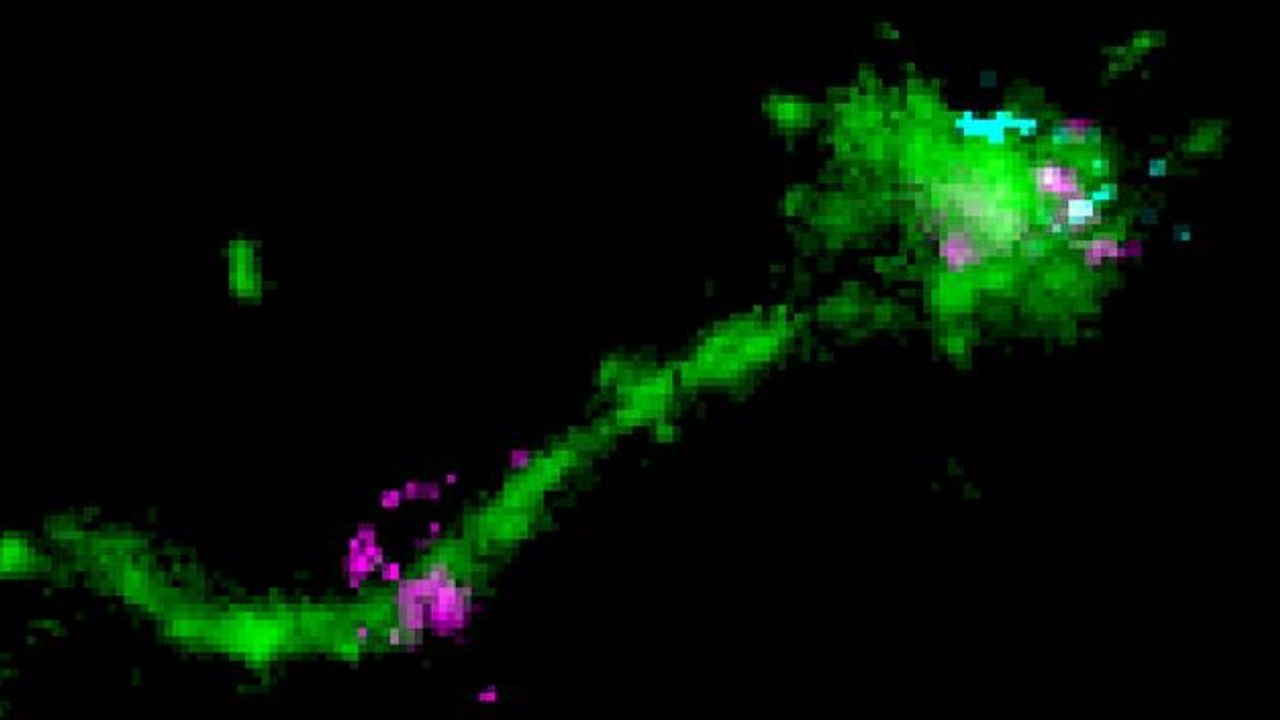 How mRNA Therapeutics Are Delivered Into Cells